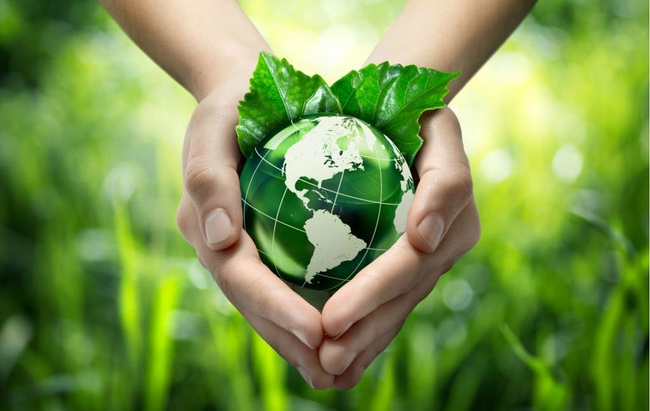 curso Gestión Ambiental